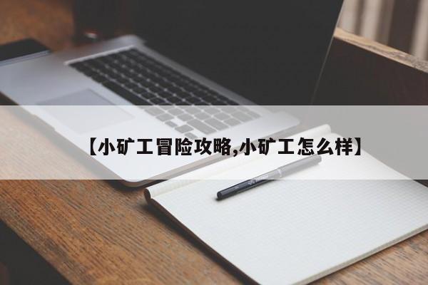 【小矿工冒险攻略,小矿工怎么样】